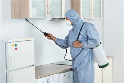 pest-control-in-winchester--nv