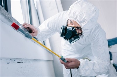 best-bed-bug-treatment-in-north-las-vegas--nv