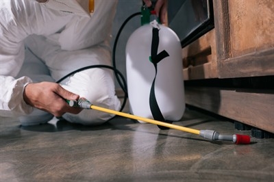 budget-pest-control-in-indian-springs--nv