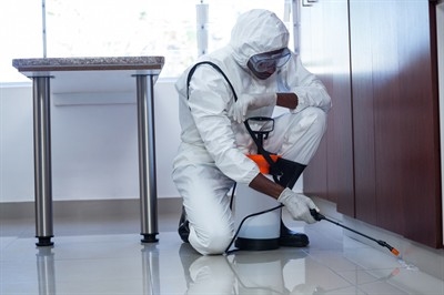 commercial-pest-control-in-primm--nv