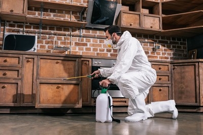 exterminator-in-spring-valley--nv