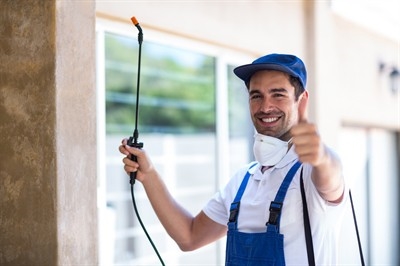 mice-removal-in-winchester--nv