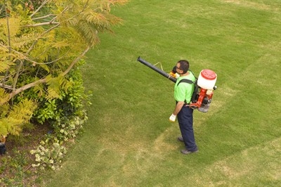 mouse-removal-in-indian-springs--nv
