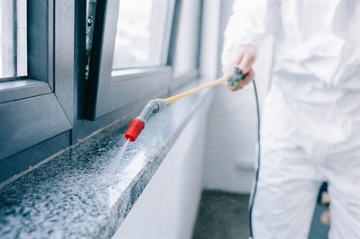 pest-control-cost-in-enterprise--nv