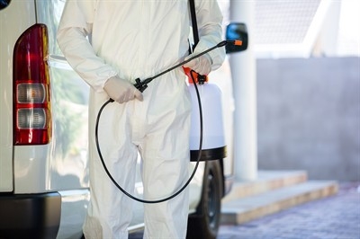 pest-control-costs-in-paradise--nv