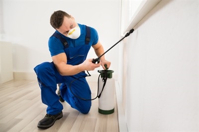 pest-control-pricing-in-overton--nv