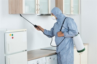preventive-pest-control-in-north-las-vegas--nv