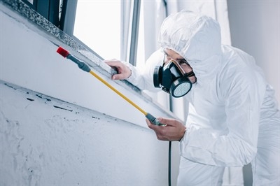 rodent-control-in-spring-valley--nv